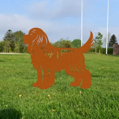Amerikansk Cocker Spaniel | Onlinesmeden.dk