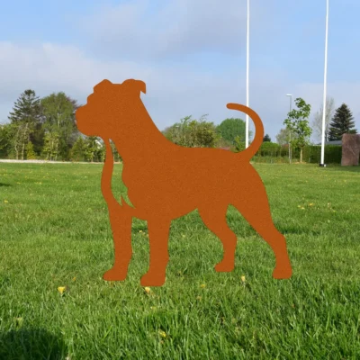 Amerikansk Pit Bull Terrier | Onlinesmeden.dk