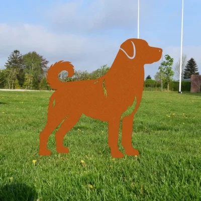 Anatolsk Hyrdehund (Kangal) | Onlinesmeden.dk