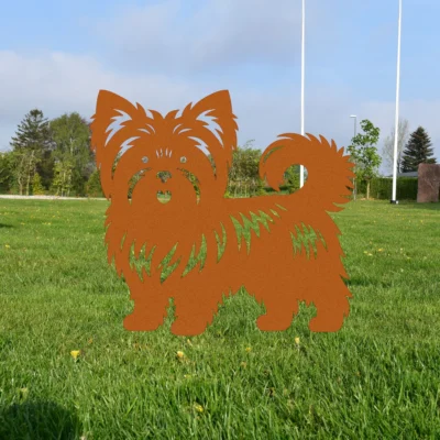 Australsk Silky Terrier | Onlinesmeden