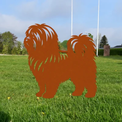 Lhasa Apso | Onlinesmeden.dk