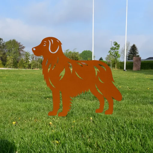 Nova Scotia Duck Tolling Retriever | Onlinesmeden.dk