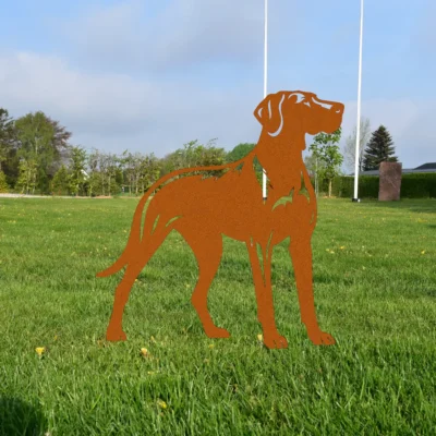 Vizsla | Onlinesmeden.dk
