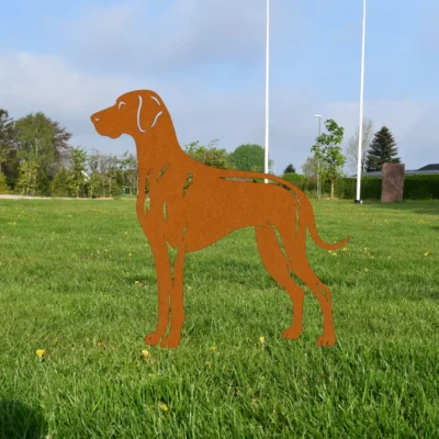 Weimaraner | Onlinesmeden.dk
