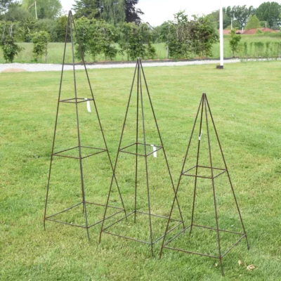 Pyramide espalier (1) Onlinesmeden.dk